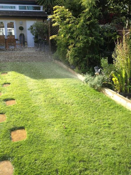 Peacock Irrigation