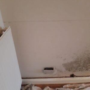 A Shield Damp Proofing Specialists