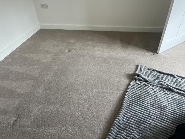 Citrussteam Carpet Cleaning & Upholstery