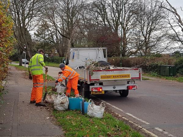 Broadleaf Tree Services