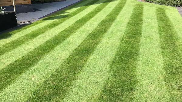 Vert Lawn Care