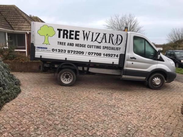 Tree Wizard Sussex Ltd