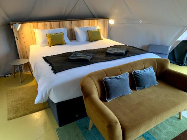 Carrier Cleaning Contractor