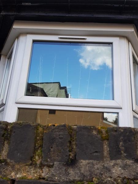 Premium Window Cleaning Services