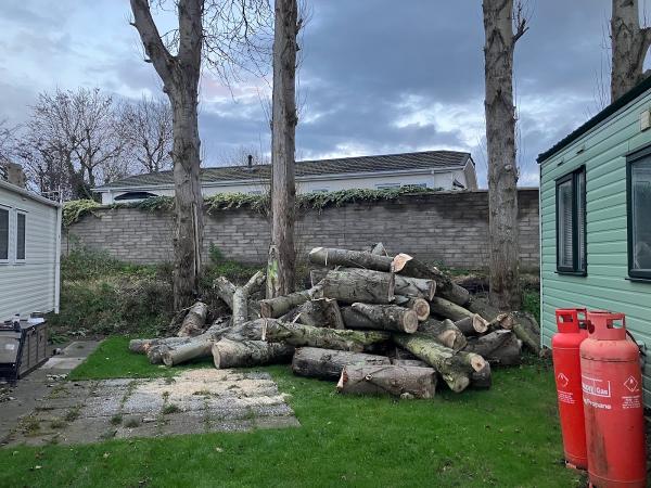 Mearns Tree Services Ltd