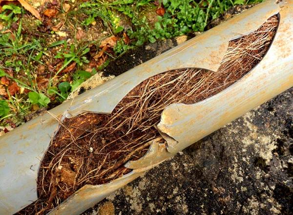 Totally Drainage Ltd