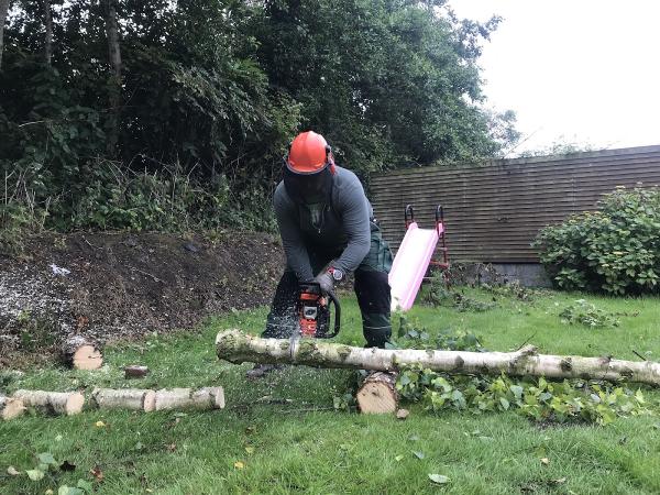 Green Giant Gardening & Tree Surgery