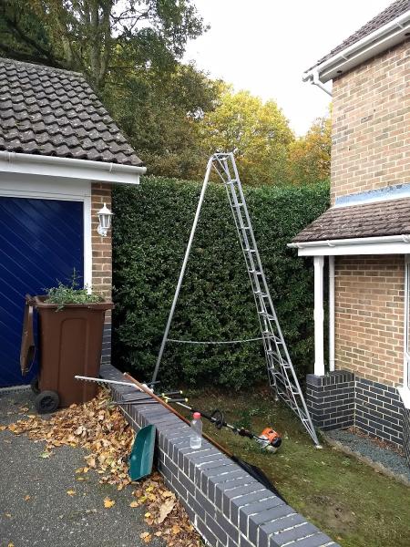 Greentrees Garden Services