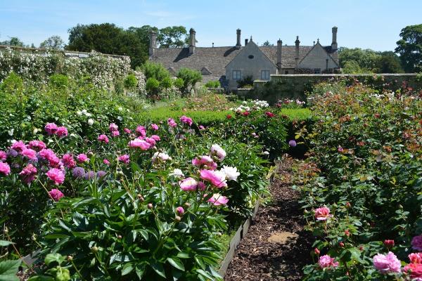 Howle Hill Nursery Ltd