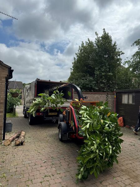 Elite Tree Services (EA) Ltd