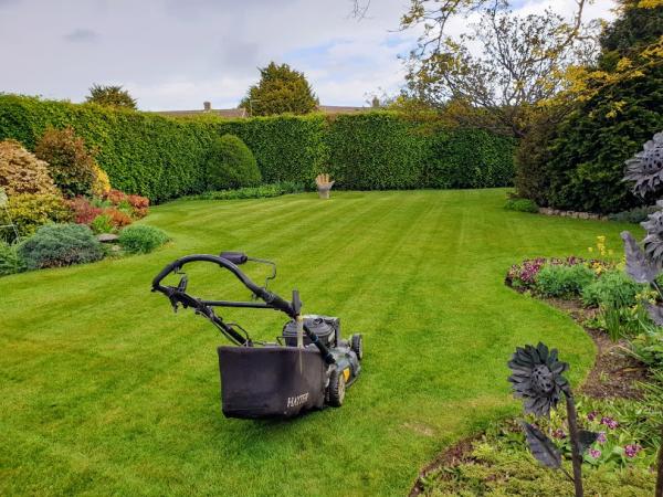 Pauls Lawns : Herne Bay & Whitstable Gardener