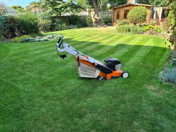 Pauls Lawns : Herne Bay & Whitstable Gardener