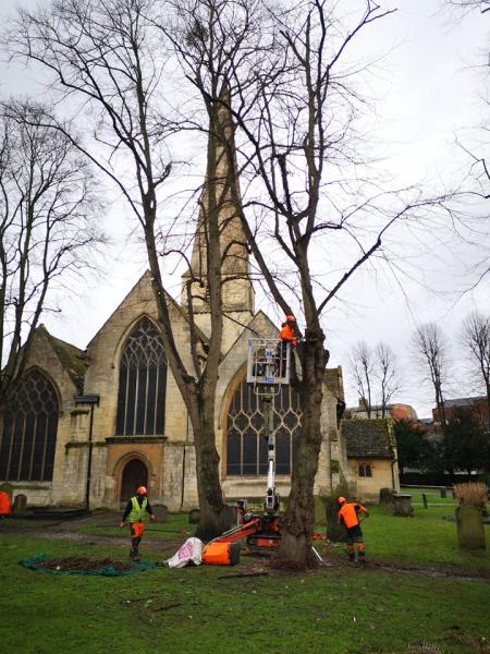 Cheltenham Tree Services Ltd