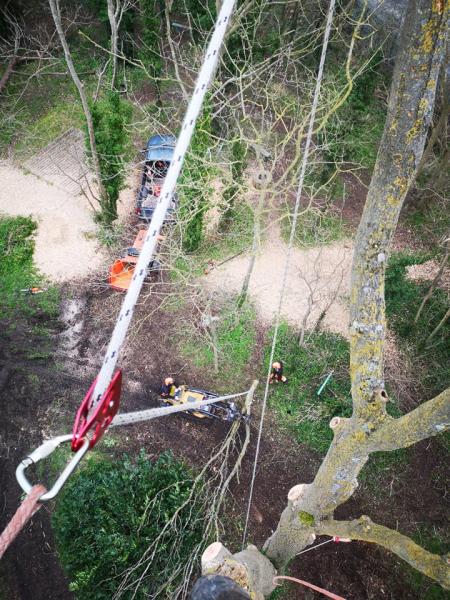 Cheltenham Tree Services Ltd