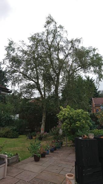 Halfacre Tree Services. Tree Surgeon & Tree Removal