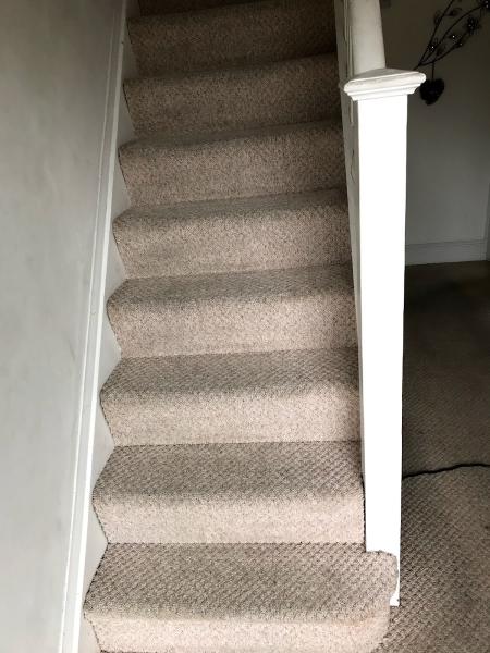 Lloyd Sellen Carpet & Hard Floor Cleaning