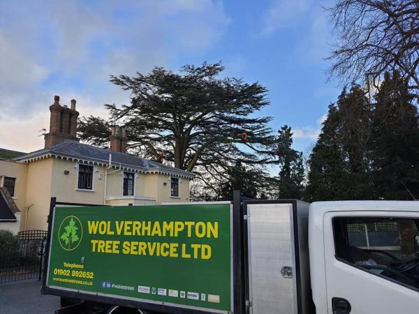 Wolverhampton Tree Service Ltd