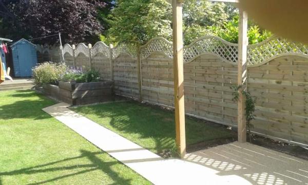 Independent Tree & Fencing