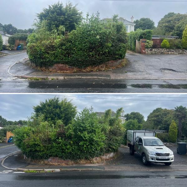 Devon Tree and Garden Maintenance