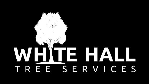 White Hall Tree Services