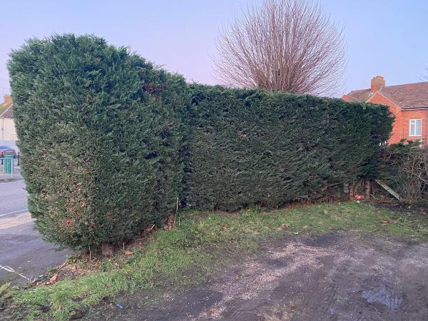 Prestige Garden Maintenance
