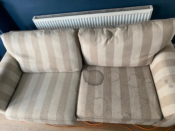 Muck Away Carpet