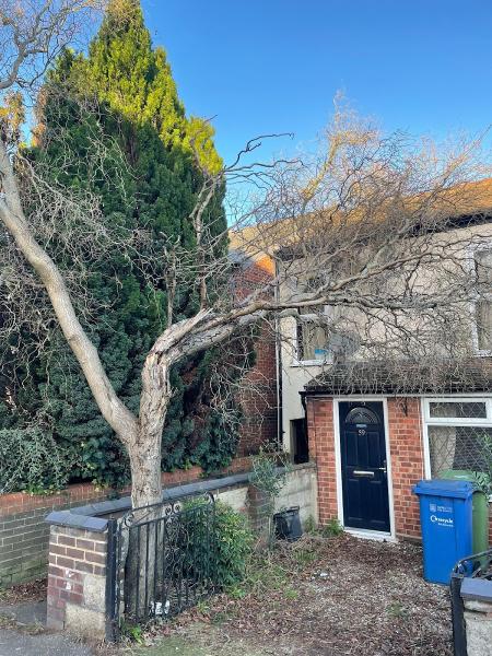 T.g.bird Tree & Garden Services