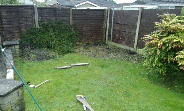 Lancashire & Cumbria Tree Services