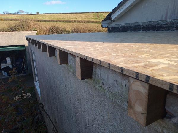 South Devon Flat Roofing Ltd