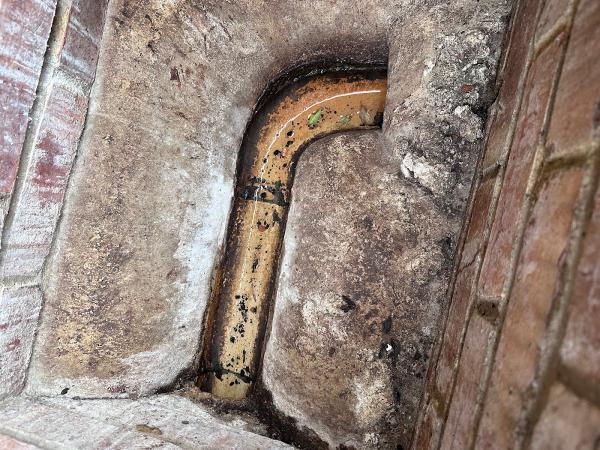 Effective Pest Solutions