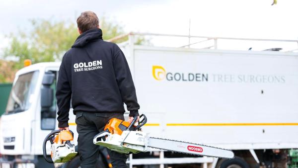 Golden Tree Surgeons