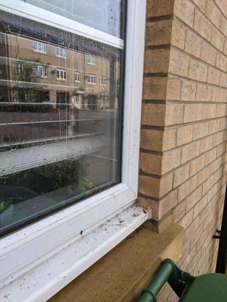Drips Pure Water Cleaning