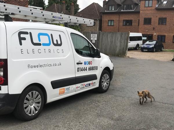 Flow Electrics LTD