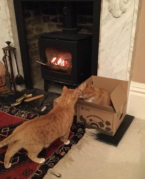 Black Cat Chimneys