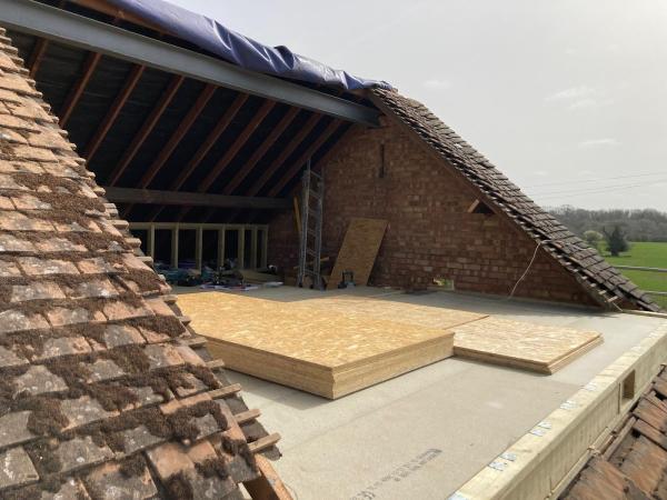 Apex Loft Conversions