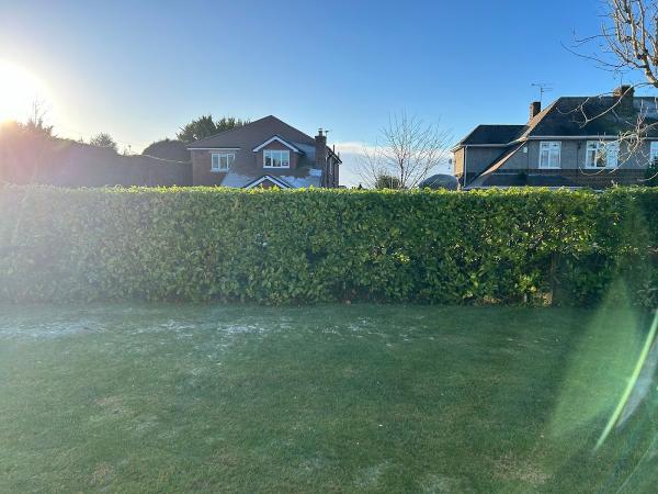 Stoke Tree Surgeon