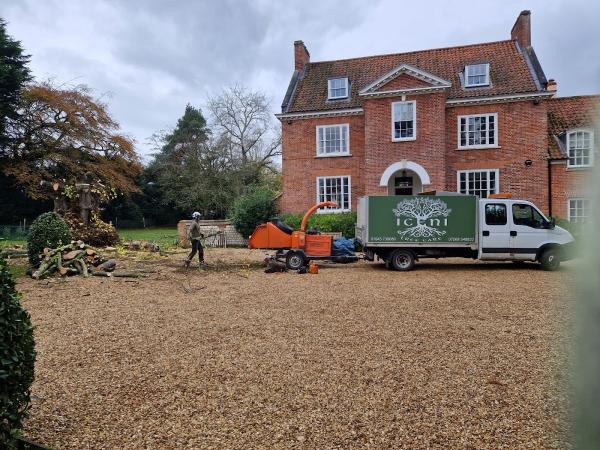 Iceni Tree Care