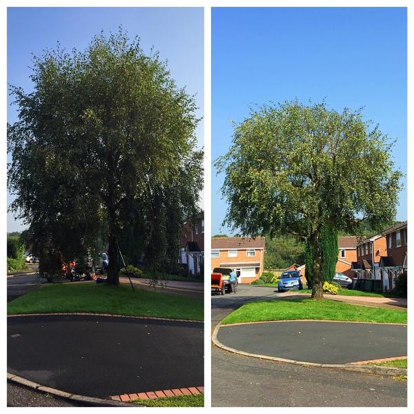 GGL Tree Services