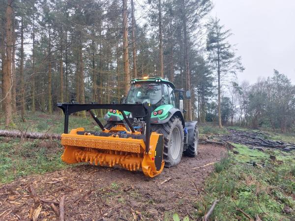 TW Treesurgery & Ground Clearance