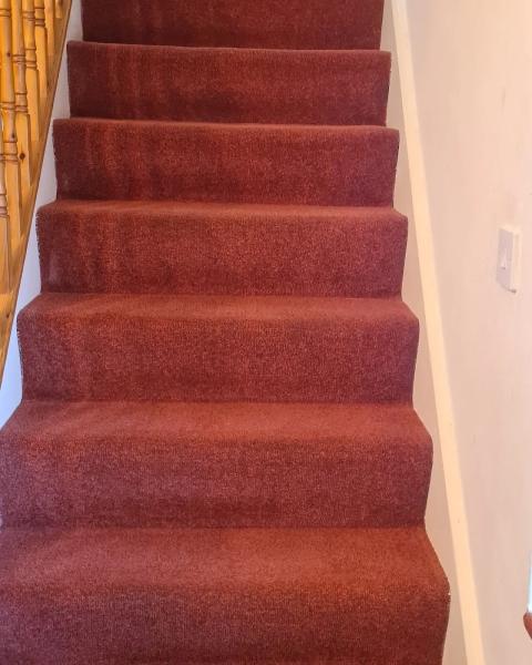 Carpet Clean