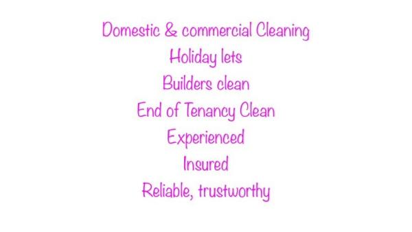 The Cleaning Fairy