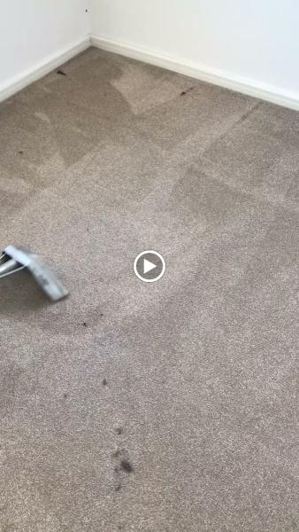 The Wirral Carpet Cleaner