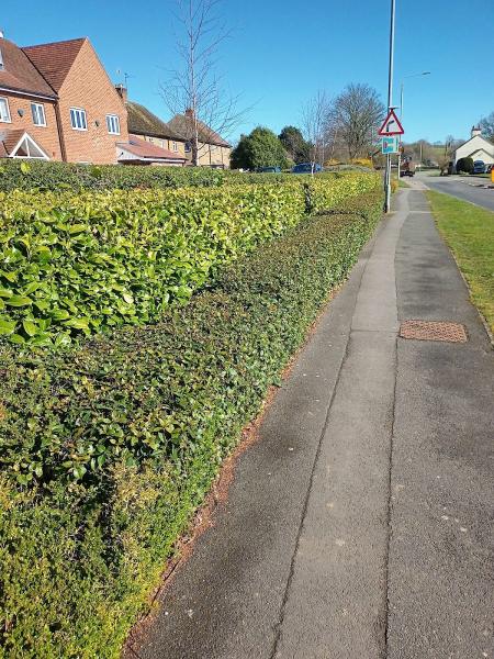 Leicestershire Ground Care Solutions