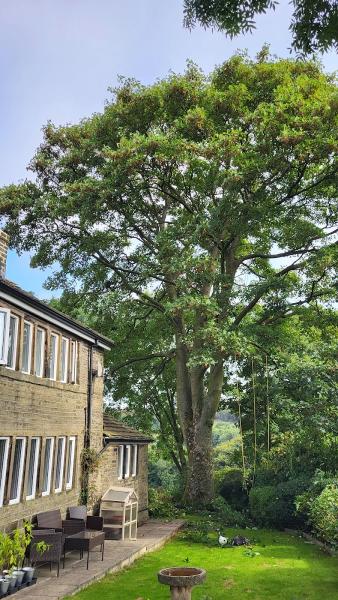 Keighley Tree Services Ltd