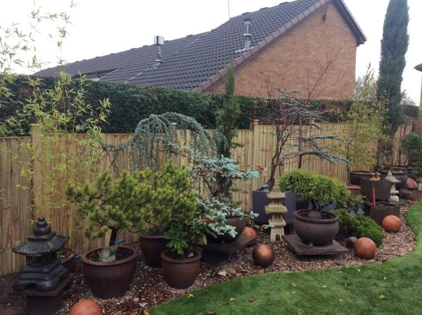 Acorn Fencing