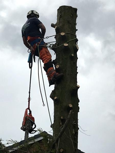 Oldham Tree Services