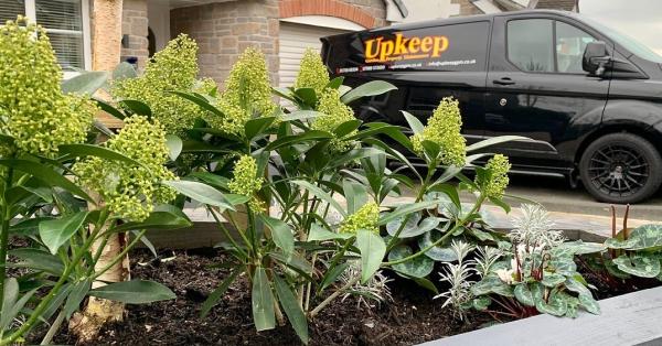 Upkeep Garden & Property Maintenance