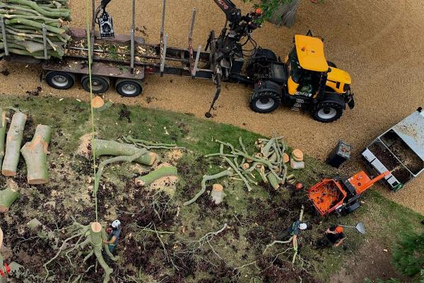 JR Arboriculture