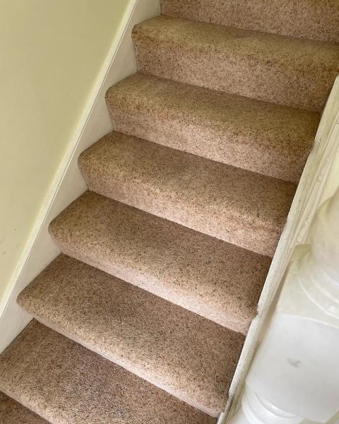 Ideal-Clean Carpet & Upholstery Cleaning