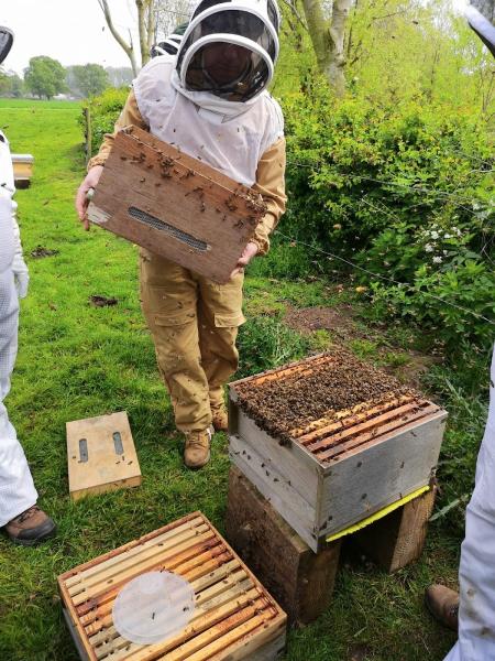 Westart Apiaries Live Bee Removal